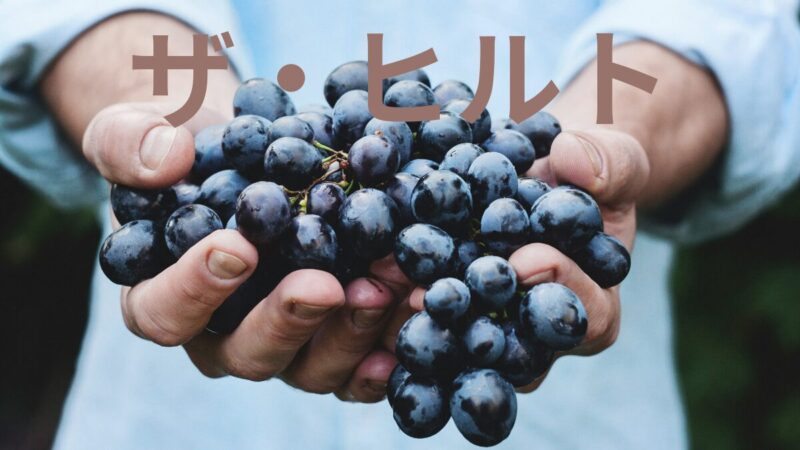 葡萄の写真