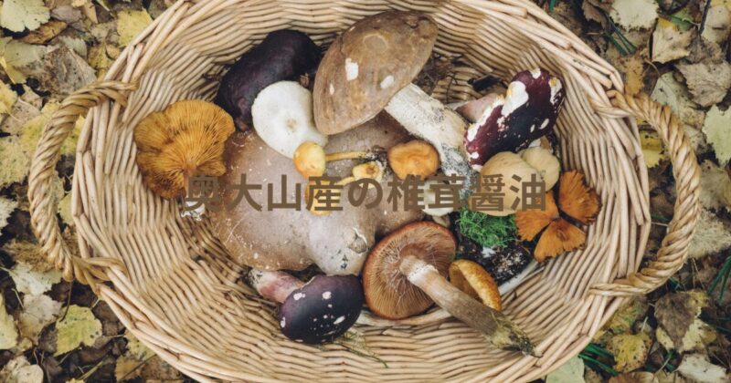かごに原木栽培の椎茸がたくさん入っている